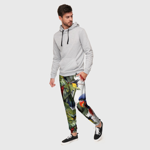 Мужские брюки 3D Яркие попугаи, цвет 3D печать - фото 3