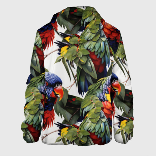 Мужская куртка 3D с принтом Яркие попугаи, вид сзади #1