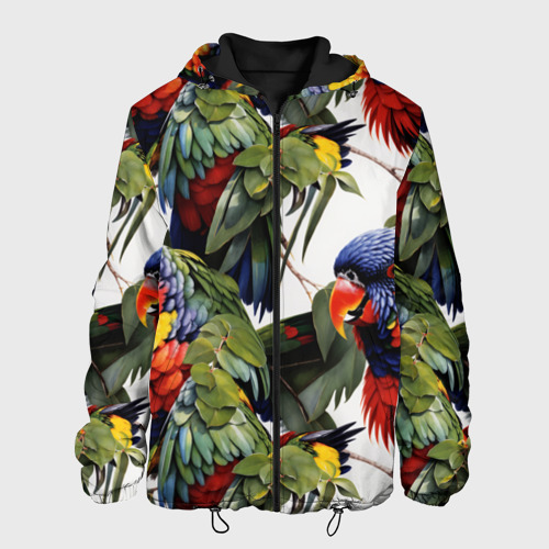 Мужская куртка 3D с принтом Яркие попугаи, вид спереди #2