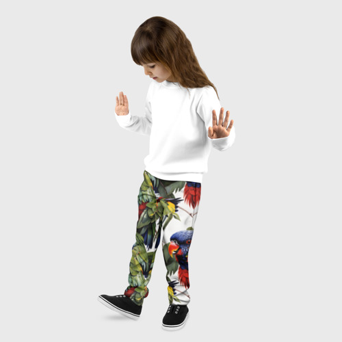 Детские брюки 3D Яркие попугаи, цвет 3D печать - фото 3