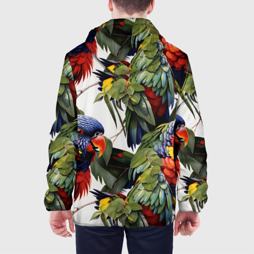 Мужская куртка 3D с принтом Яркие попугаи, вид сзади #2
