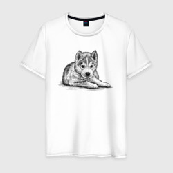 Щенок собаки хаски – Мужская футболка хлопок с принтом купить со скидкой в -20%