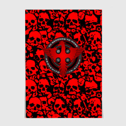 Постер Thirty Seconds to Mars skull pattern