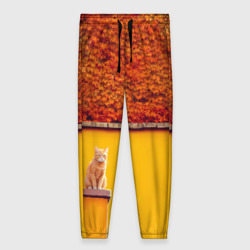 Женские брюки 3D Лозы винограда и рыжий кот