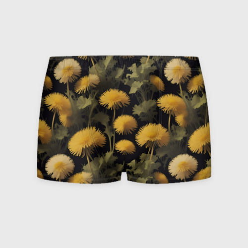 Мужские трусы с принтом Желтые одуванчики - полевые цветы, вид спереди №1