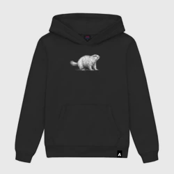 Женская толстовка хлопок Сурок белый