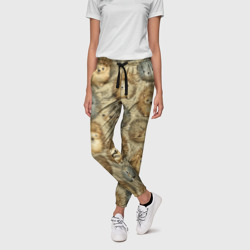 Женские брюки 3D Паттерн лесной ежик - фото 2