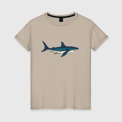 Большая акула – Футболка из хлопка с принтом купить со скидкой в -20%