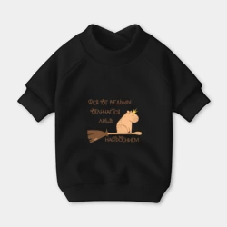 Свитшот для собак хлопок Мем капибара на метле: фея и ведьма