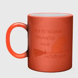 Кружка хамелеон Мем капибара на метле: фея и ведьма - фото 2