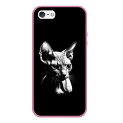 Чехол для iPhone 5/5S матовый Кот сфинкс с другой планеты на черном фоне