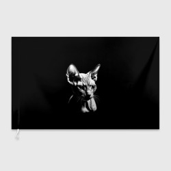 Флаг 3D Кот сфинкс с другой планеты на черном фоне