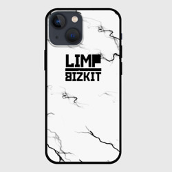 Чехол для iPhone 13 mini Limp bizkit storm black