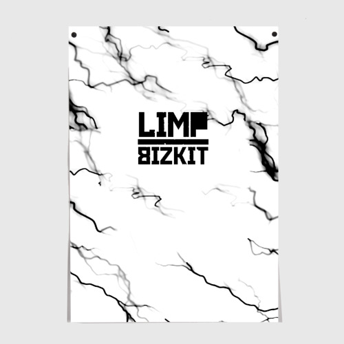 Постер Limp bizkit storm black