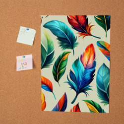Постер с принтом Разноцветные перья тропических птиц для любого человека, вид спереди №2. Цвет основы: белый