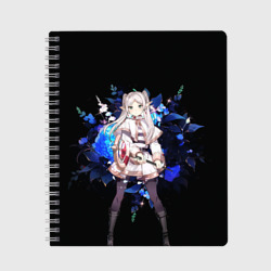 Тетрадь Фрирен маг эльфийка