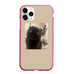 Чехол для iPhone 11 Pro Max матовый Котик из мема
