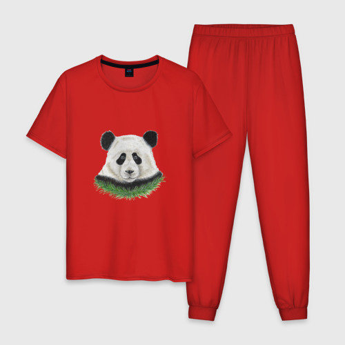 Мужская пижама хлопок с принтом Медведь панда, вид спереди #2