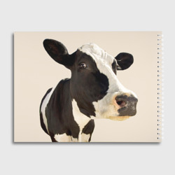 Альбом с принтом Настоящая корова для любого человека, вид сзади №1. Цвет основы: белый