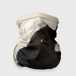 Бандана-труба 3D Настоящая корова