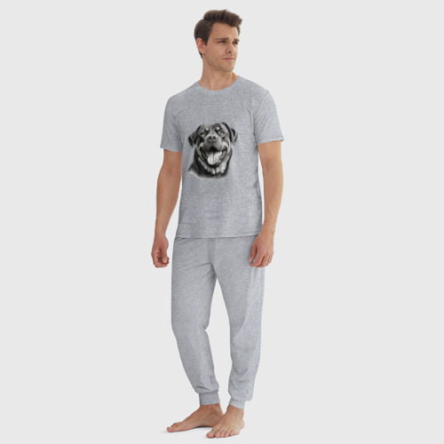 Мужская пижама хлопок Ротвейлер черно-белый, цвет меланж - фото 5