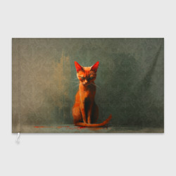Флаг 3D Серьезный рыжий кот 