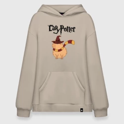 Худи SuperOversize хлопок Мем капибара волшебник в шляпе