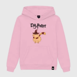 Женская толстовка хлопок Мем капибара волшебник в шляпе