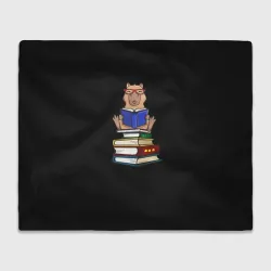 Плед 3D Капибара с книгой