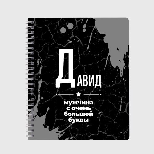 Тетрадь Давид: мужчина с очень большой буквы, цвет клетка