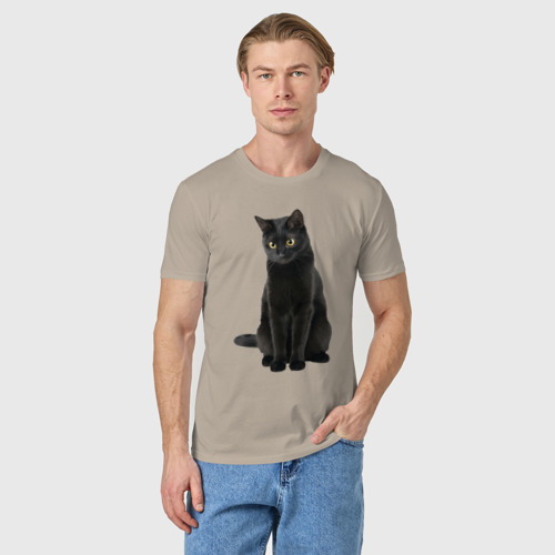 Мужская футболка хлопок с принтом Черная кошка бомбейской породы, фото на моделе #1