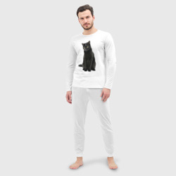 Мужская пижама с лонгсливом хлопок Черная кошка бомбейской породы - фото 2