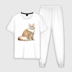 Мужская пижама хлопок Пушистая бело рыжая кошка