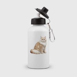 Бутылка спортивная Пушистая бело рыжая кошка