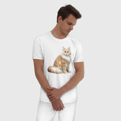 Мужская пижама хлопок Пушистая бело рыжая кошка - фото 2