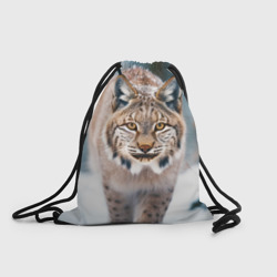 Рюкзак-мешок 3D Рысь в зимнем лесу