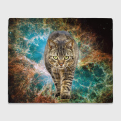 Космический полосатый кот – Плед 3D с принтом купить со скидкой в -14%