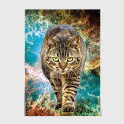 Постер Космический полосатый кот