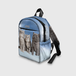 Рюкзак с принтом Котята на облаках для ребенка, вид на модели спереди №3. Цвет основы: белый