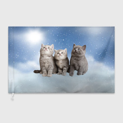 Флаг 3D Котята на облаках
