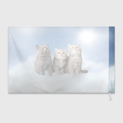 Флаг 3D Котята на облаках - фото 2