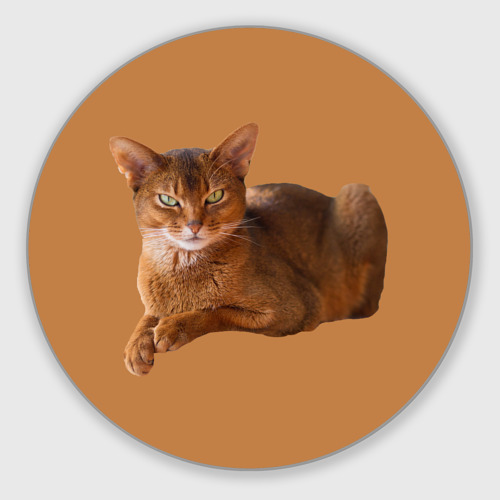 Круглый коврик для мышки с принтом Абиссинская кошка с фоном, вид спереди №1