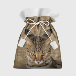 Подарочный 3D мешок Кот с полосатыми ушами 