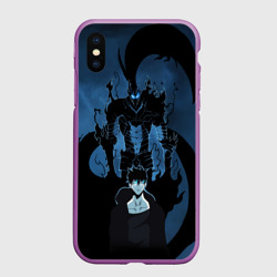 Чехол для iPhone XS Max матовый Song Jin-Woo and Igris