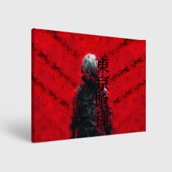 Холст прямоугольный Tokyo Ghoul - Kaneki Ken