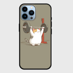 Чехол для iPhone 14 Pro Max Кот спортсмен
