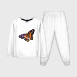 Бабочка пятнистая разноцветная – Детская пижама с лонгсливом хлопок с принтом купить