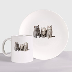 Набор: тарелка + кружка Три пушистых котенка