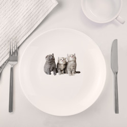 Набор: тарелка + кружка Три пушистых котенка - фото 2