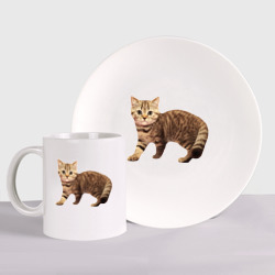 Набор: тарелка + кружка Полосатый котенок серо-коричневый